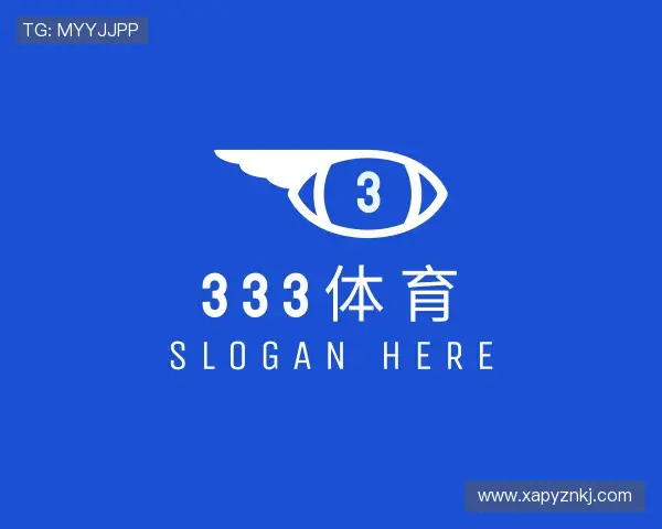 关于333体育官网